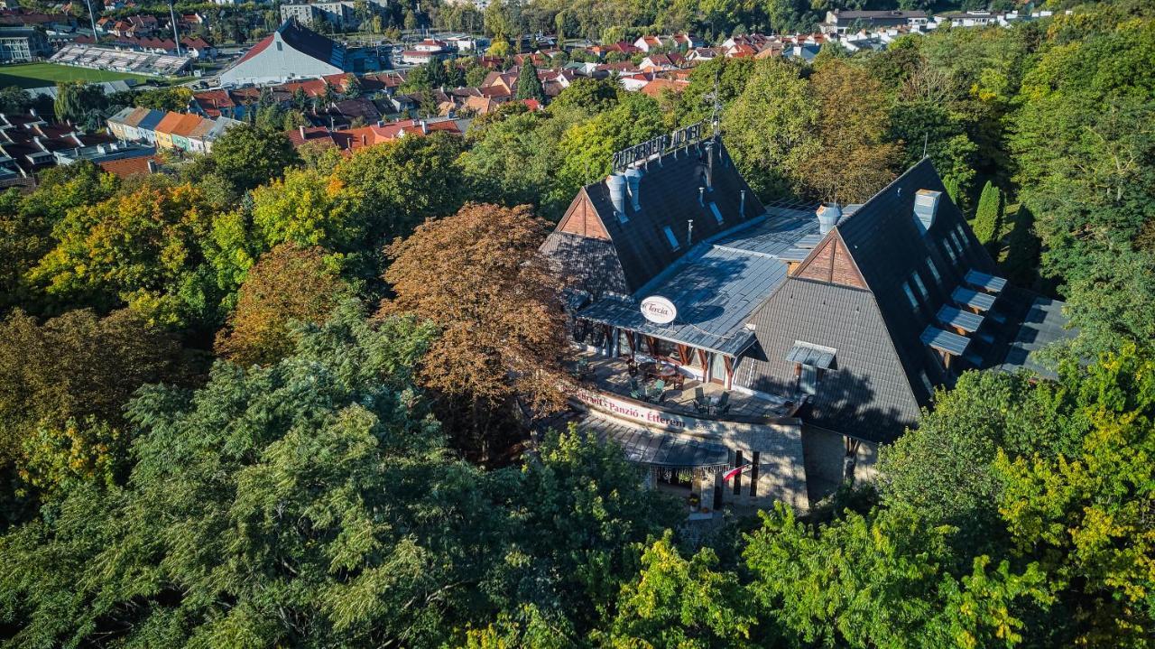 Tercia Hubertus Panzió Sopron Exterior foto