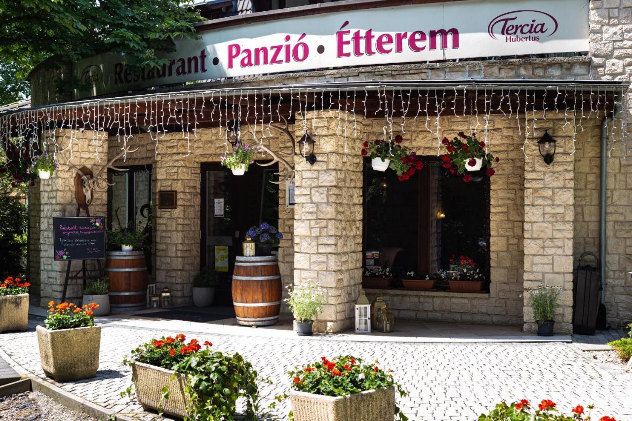 Tercia Hubertus Panzió Sopron Exterior foto
